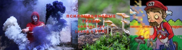 соль ск Балахна