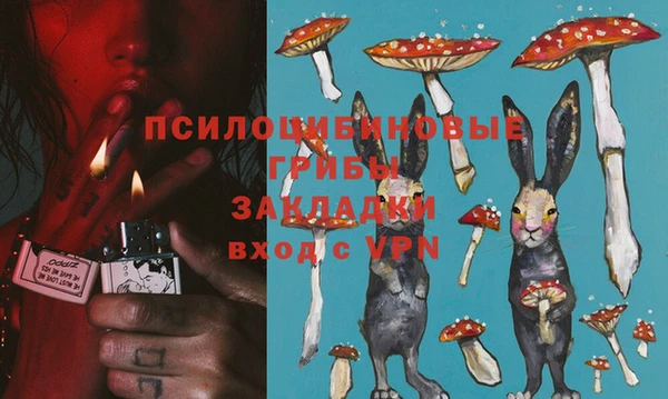 скорость Баксан
