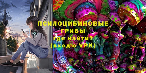 соль ск Балахна