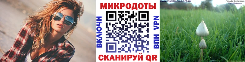 Псилоцибиновые грибы GOLDEN TEACHER  Ессентуки 