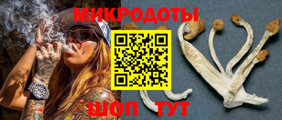 Псилоцибиновые грибы Psilocybe  Галлюциногенные грибы Psilocybe  Ессентуки  Вход с VPN 