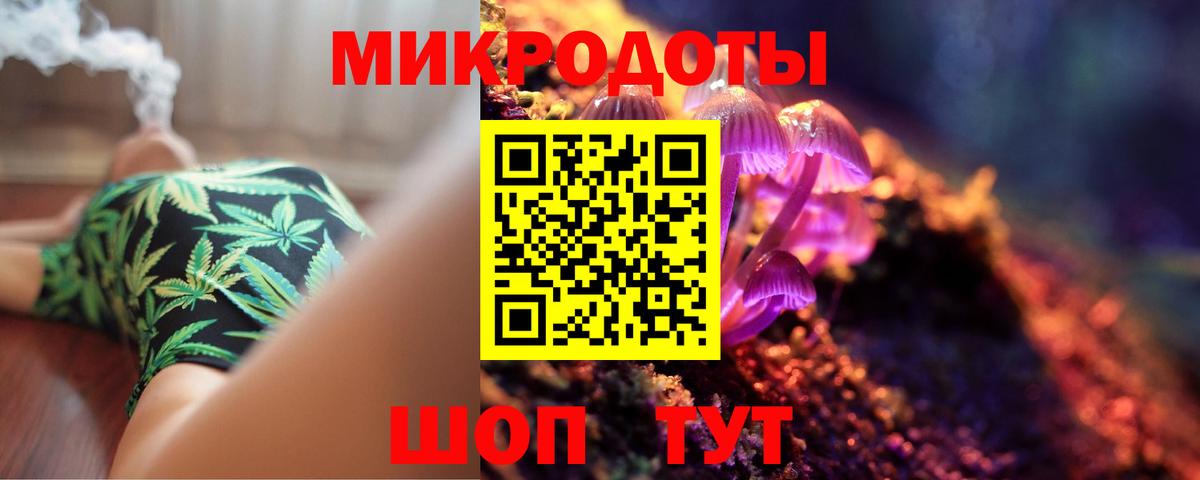 Псилоцибиновые грибы Psilocybine cubensis Ессентуки
